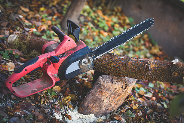 Mulching Services in Derry, PA